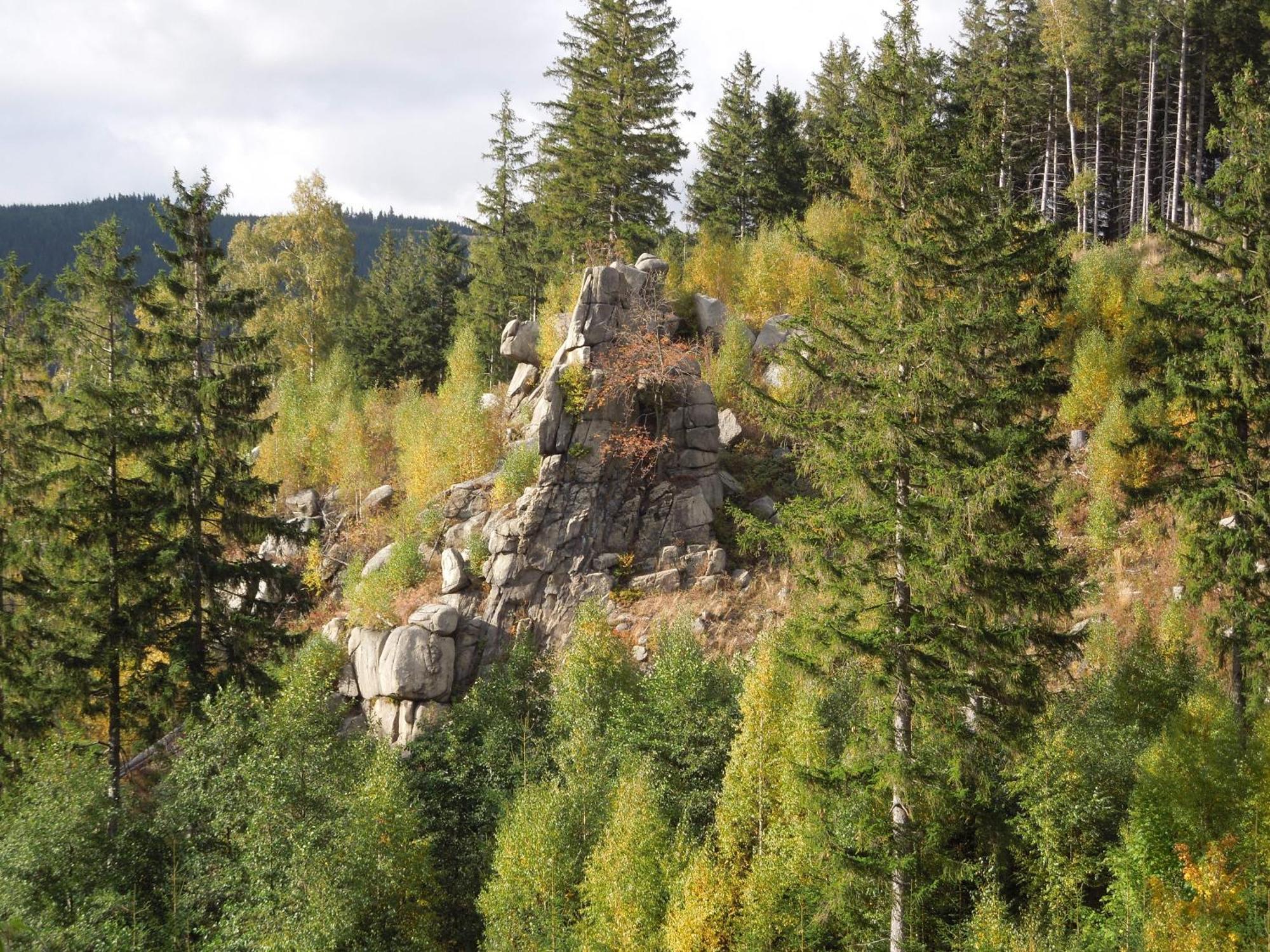 Blockhaus Bodefall Braunlage Exterior foto